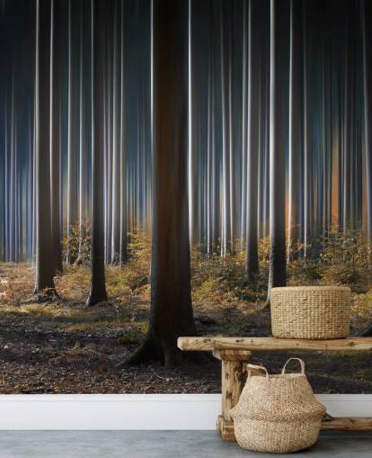 Gleaming Forest Tree Trunks Wallpaper Gleaming Forest Tree Trunks Wallpaper