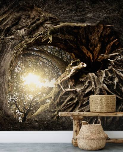 Tree Wallpaper Tree Wallpaper