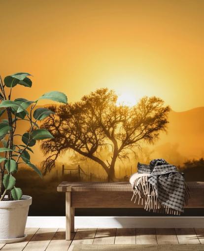 Gold Sunrise vastaan Tree Taustakuva