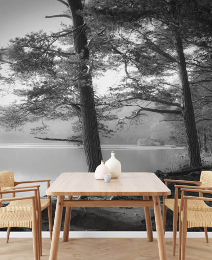 Sort og hvid sø og skov Wallpape