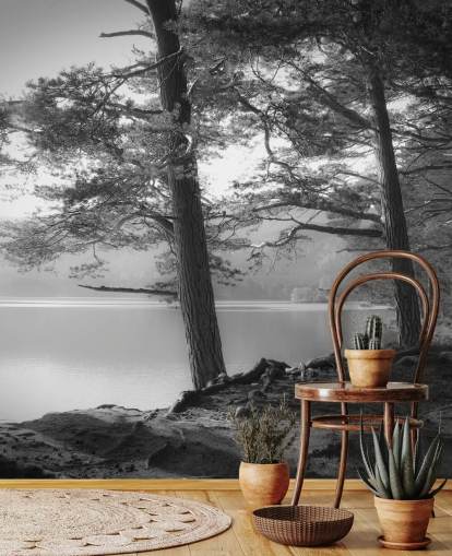 Fondo de pantalla de lago y bosque en blanco y negro