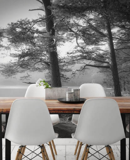 Black and White Lake and Forest Wallpape