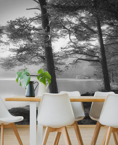 Black and White Lake and Forest Wallpape
