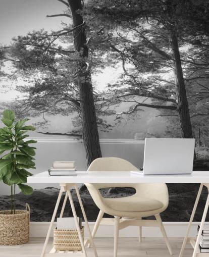 Fondo de pantalla de lago y bosque en blanco y negro