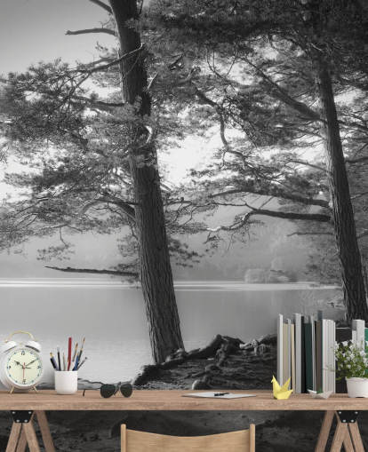 Black and White Lake and Forest Wallpape