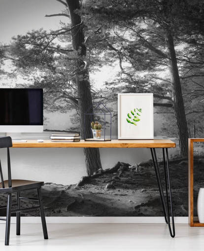 Black and White Lake and Forest Wallpape