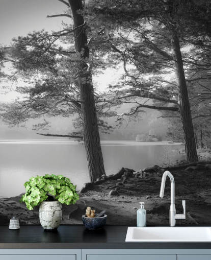 Svart-hvitt innsjø og skog Wallpape Svart-hvitt innsjø og skog Wallpape