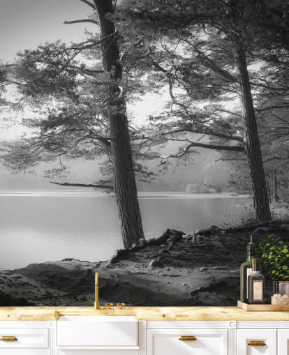 Papel de parede preto e branco do lago e da floresta