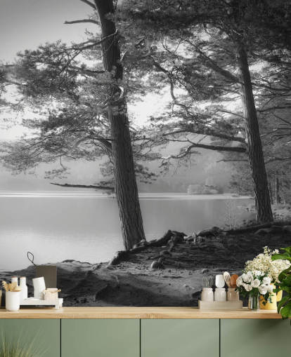 Svart-hvitt innsjø og skog Wallpape Svart-hvitt innsjø og skog Wallpape