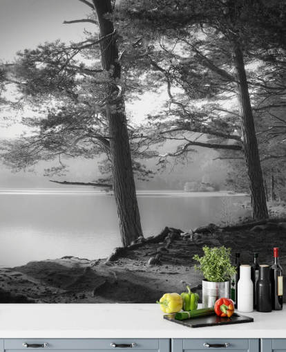 Svarta och vita sjön och skogen tapet Svarta och vita sjön och skogen tapet