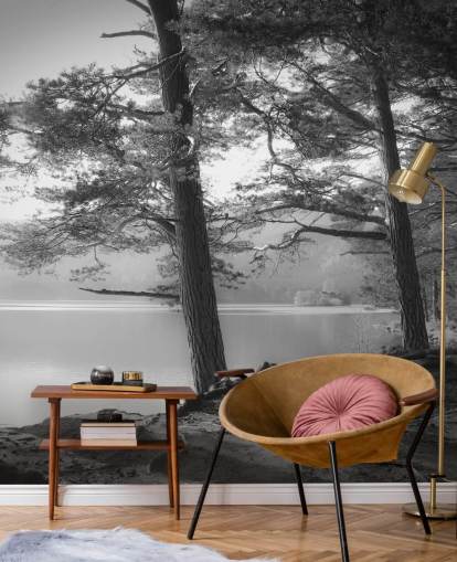 Svarta och vita sjön och skogen tapet