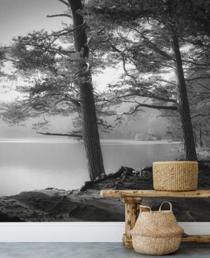Black and White Lake and Forest Wallpape