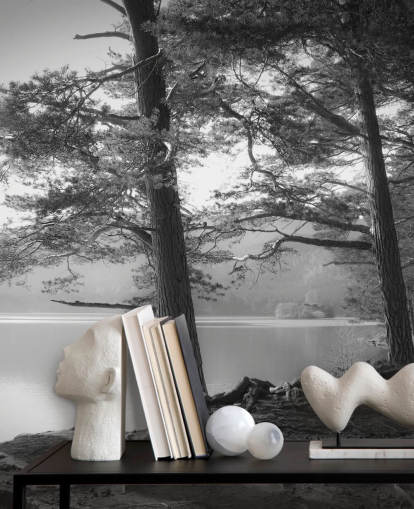 Black and White Lake and Forest Wallpape