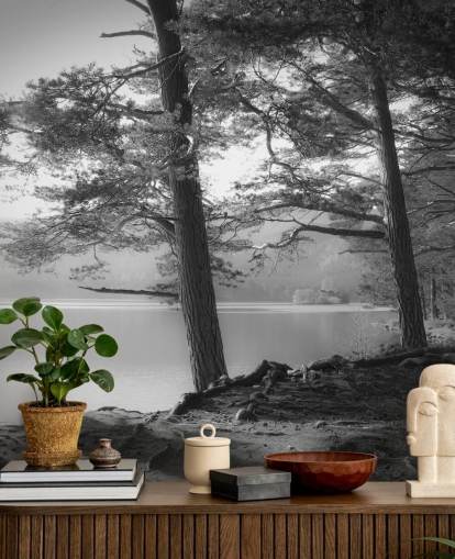 Fondo de pantalla de lago y bosque en blanco y negro