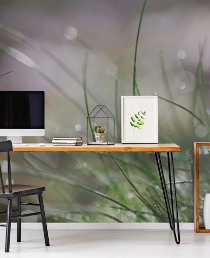 Decorazione murale con farfalla fotografata che atterra sull'erba Decorazione murale con farfalla fotografata che atterra sull'erba