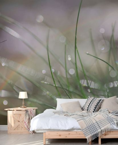 Papier Peint Fresque Papillon Atterrissant