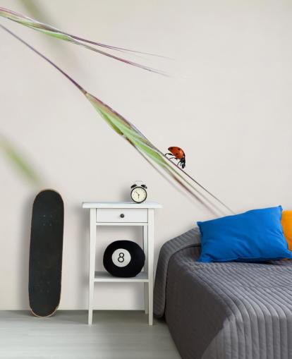 Ladybug/Ladybird Insect Wallpaper