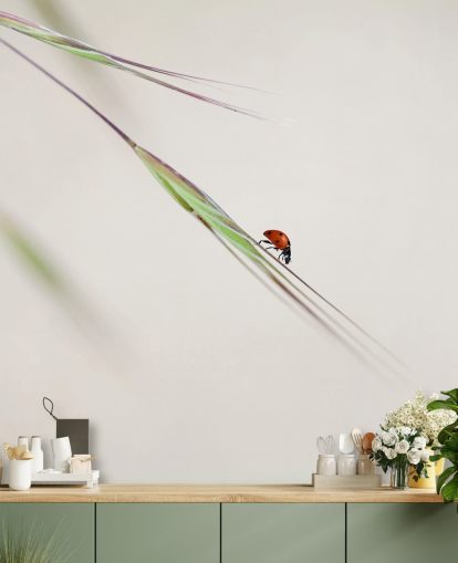 Ladybird on Leaf Wall Wallpaper