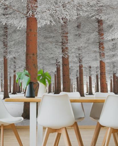 In White Wall Mural Wallpaper In White Wall Mural Wallpaper