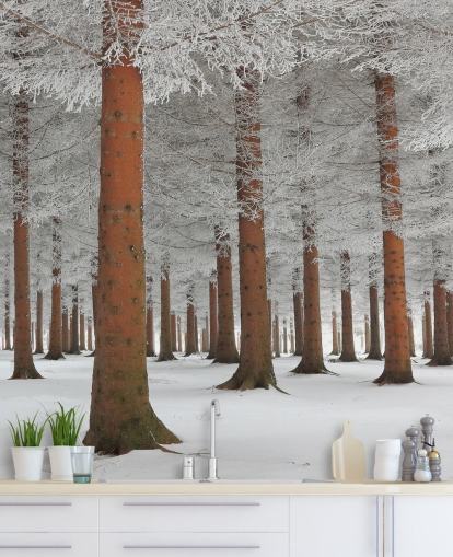 In White Wall Mural Wallpaper