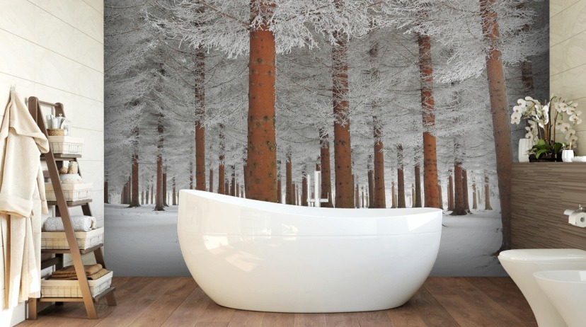 Papier Peint Fresque Murale Blanc