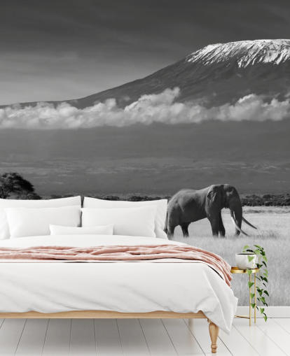 Schwarzweißer Elefant in Landschaft Fototapete 