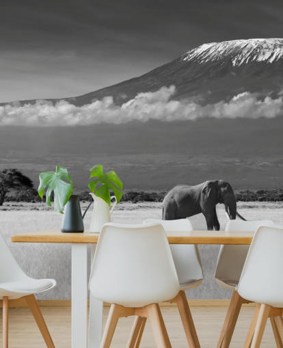 Mural Elefante blanco y negro en paisaje 