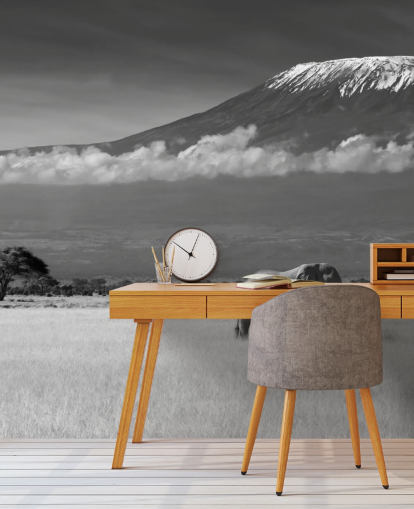 Papier Peint Fresque Éléphant Noir et Blanc 