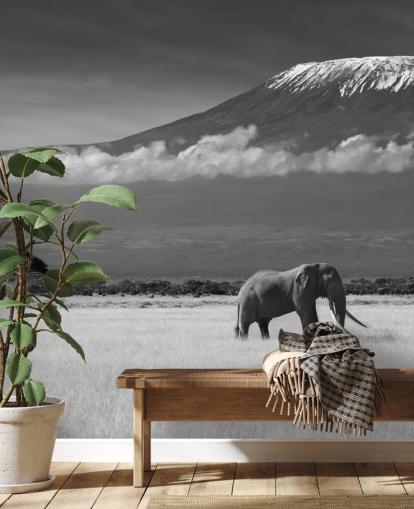 Schwarzweißer Elefant in Landschaft Fototapete 