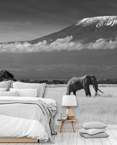 Papier Peint Fresque Éléphant Noir et Blanc 