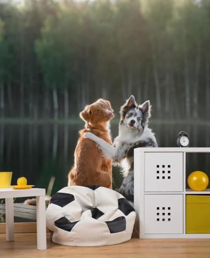 zwei Hunde saßen mit den Armen umeinander an einem See Fototapete