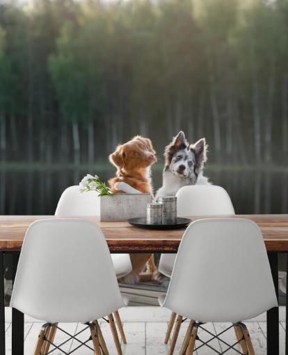 two dogs sat by a lake with arms around each other wall mural two dogs sat by a lake with arms around each other wall mural