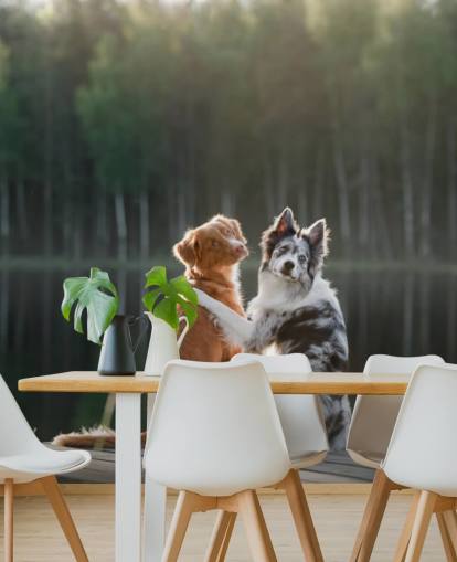 two dogs sat by a lake with arms around each other wall mural