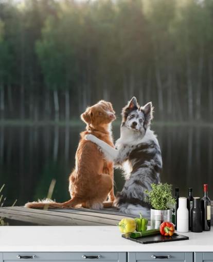 two dogs sat by a lake with arms around each other wall mural