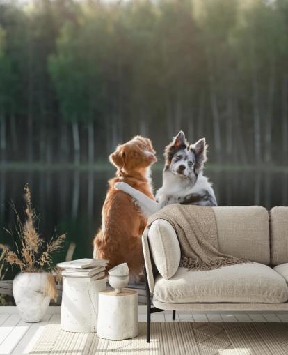 zwei Hunde saßen mit den Armen umeinander an einem See Fototapete