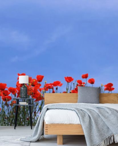 red poppies in a field wallpaper