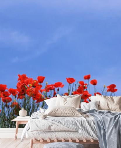 Descargar el fondo de pantalla Red Poppies in a field