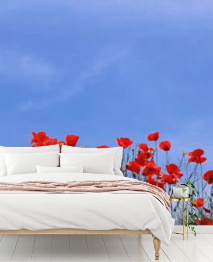 Descargar el fondo de pantalla Red Poppies in a field Descargar el fondo de pantalla Red Poppies in a field