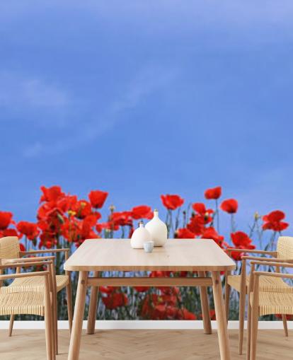 red poppies in a field wallpaper
