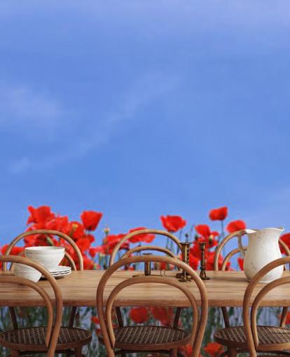 Descargar el fondo de pantalla Red Poppies in a field