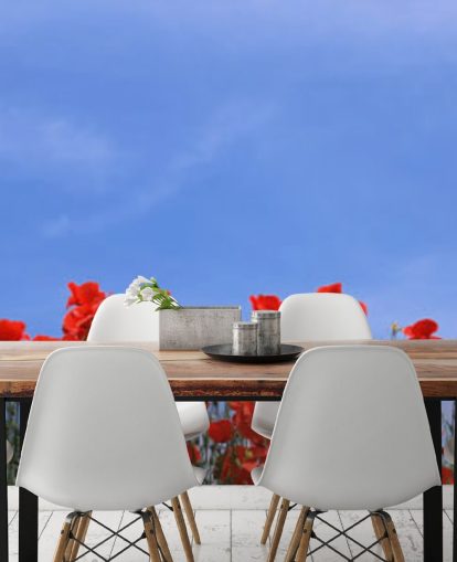 Descargar el fondo de pantalla Red Poppies in a field