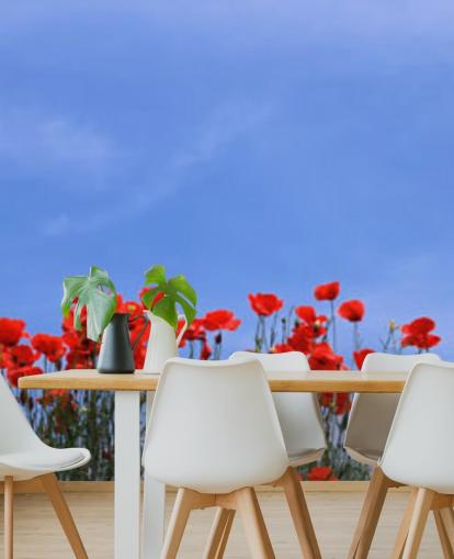 rote Mohnblumen in einem Feld Tapete