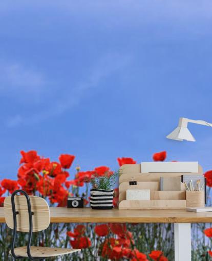red poppies in a field wallpaper
