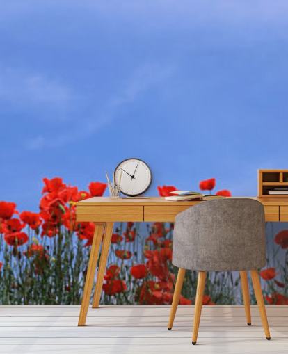 rote Mohnblumen in einem Feld Tapete