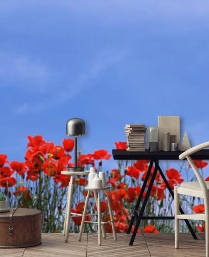 red poppies in a field wallpaper