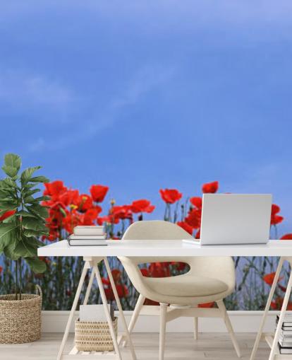 papier peint coquelicots rouges dans un champ papier peint coquelicots rouges dans un champ