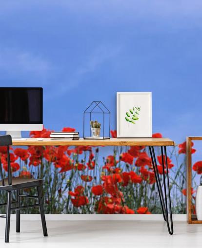 papier peint coquelicots rouges dans un champ