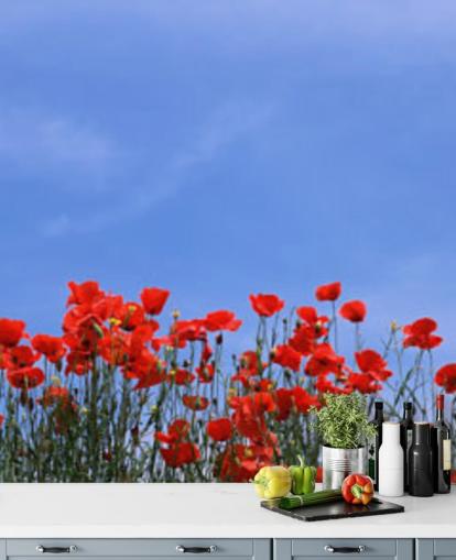 red poppies in a field wallpaper