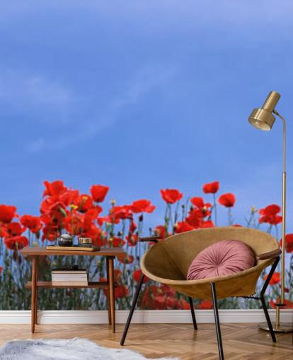 Descargar el fondo de pantalla Red Poppies in a field