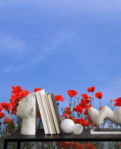 red poppies in a field wallpaper
